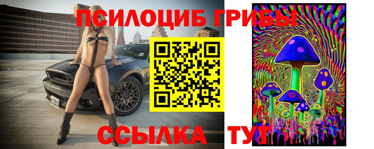 Псилоцибиновые грибы прущие грибы  Вход с VPN  Псилоцибиновые грибы ЛСД  Вязьма 